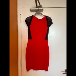 Brand new Cache dress